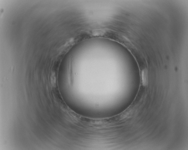 X0000073921443200609082226