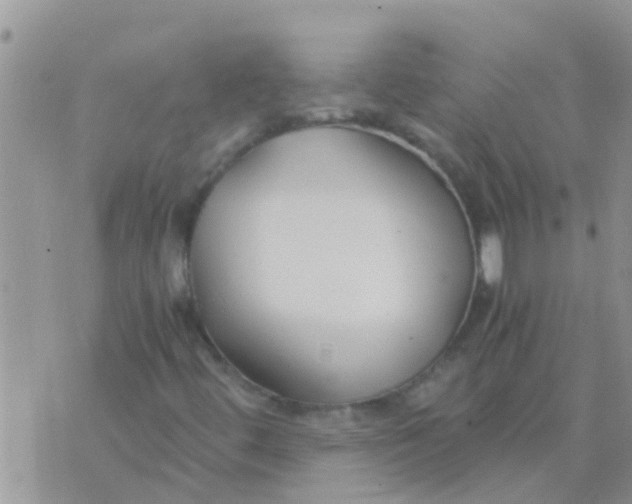 X0000073921444200609082226