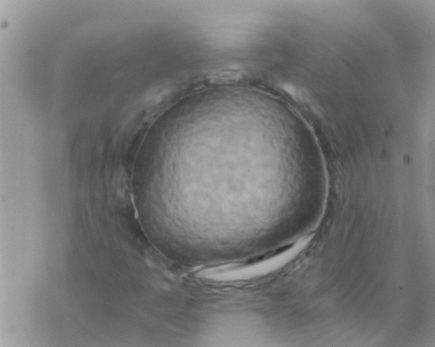 X0000073921445200609082226