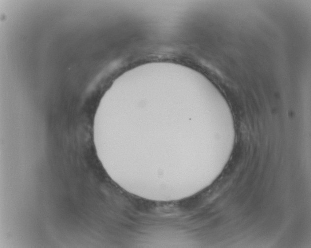 X0000073921447200609082226