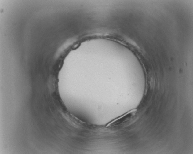 X0000073921448200609082226