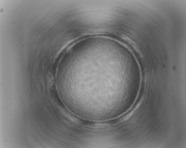 X0000073921449200609082226