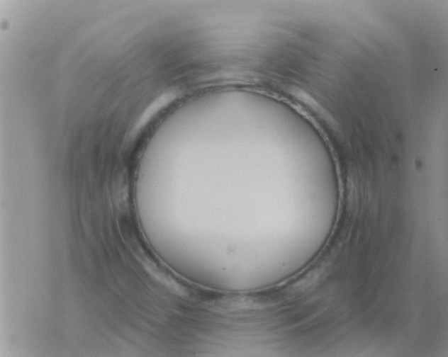 X0000073921450200609082226