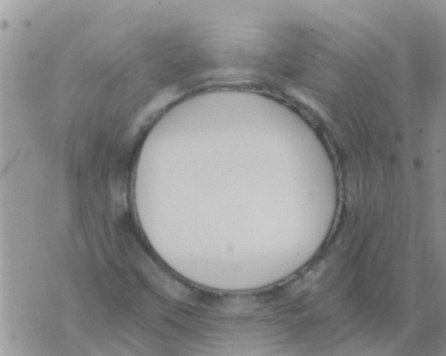 X0000073921451200609082226