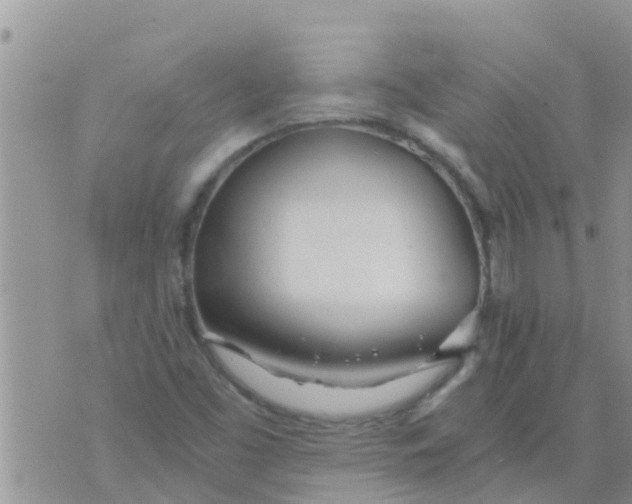 X0000073921453200609082226