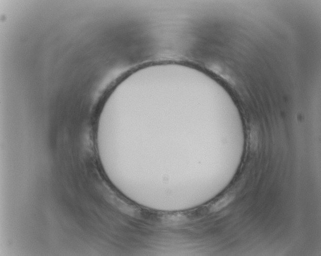 X0000073921454200609082226