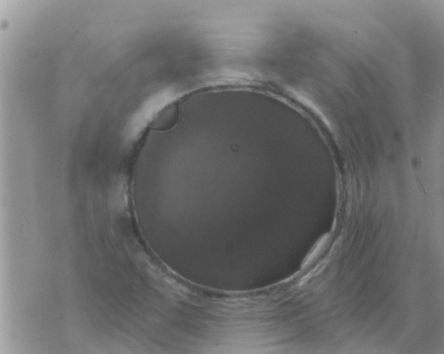 X0000073921455200609082226