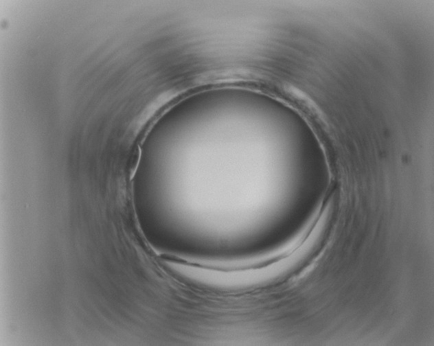 X0000073921457200609082226