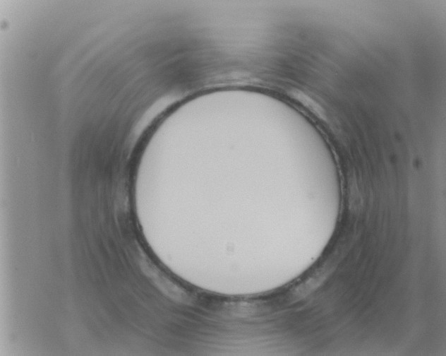 X0000073921458200609082226