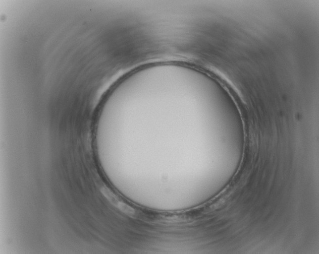 X0000073921460200609082226