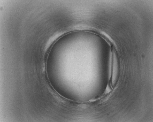 X0000073921461200609082226