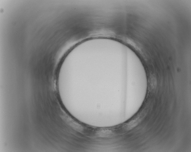 X0000073921462200609082226