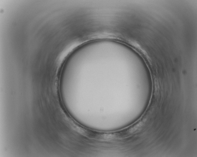 X0000073921463200609082226