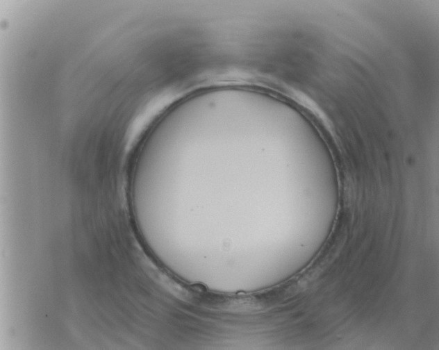 X0000073921464200609082226