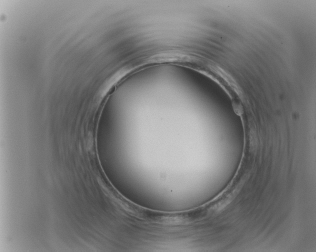 X0000073921465200609082226