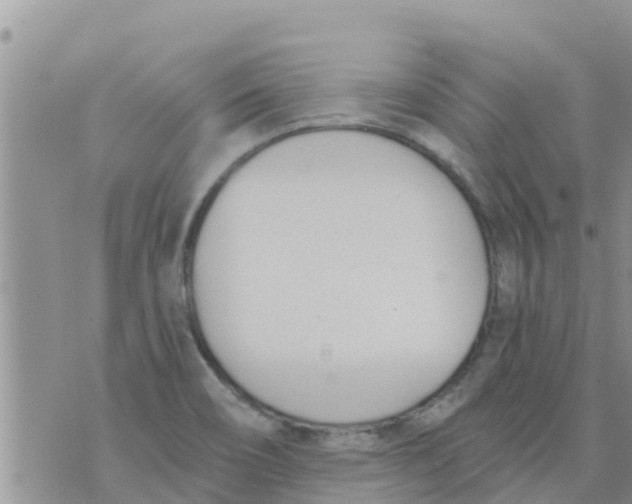 X0000073921466200609082225