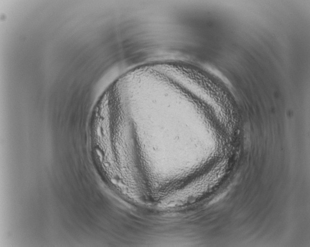 X0000073921467200609082225