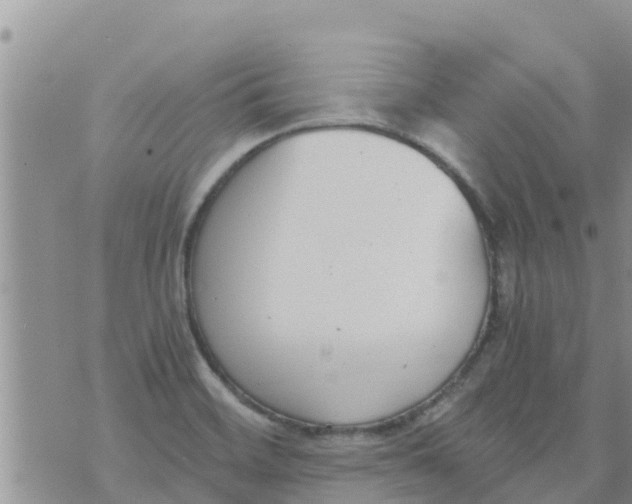 X0000073921468200609082225