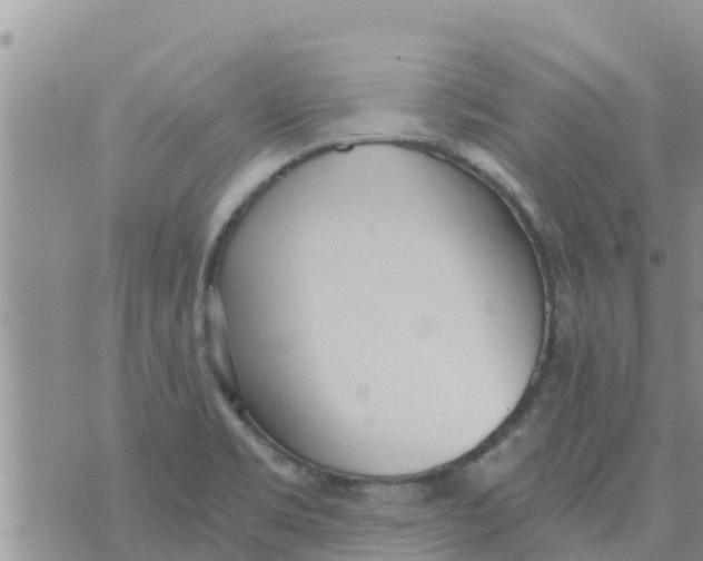 X0000073921469200609082225