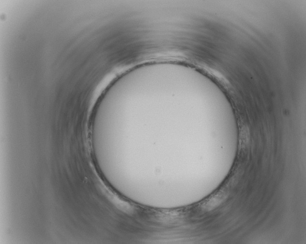 X0000073921470200609082225