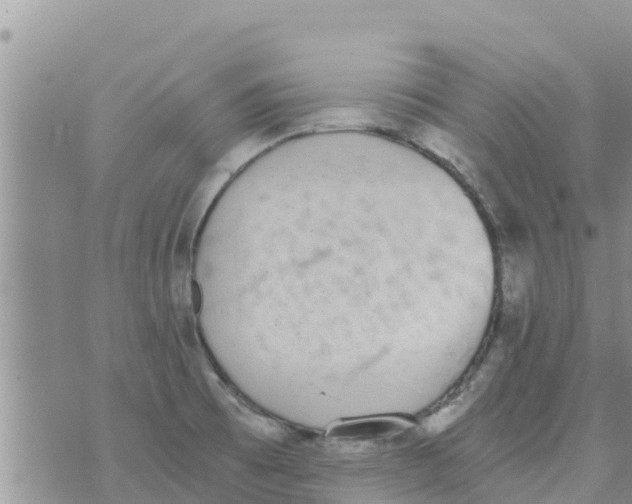 X0000073921473200609082225