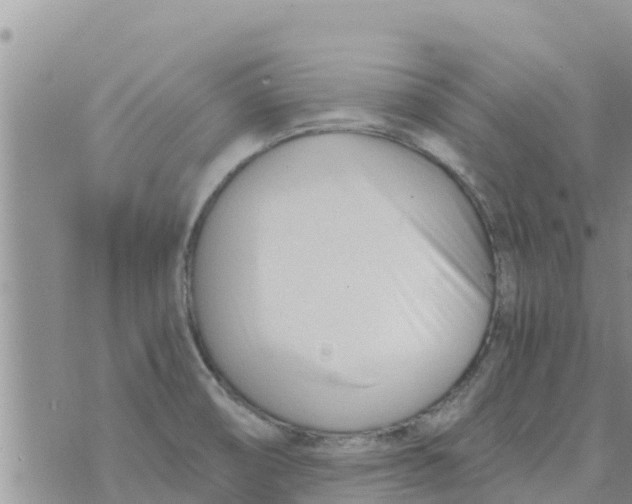 X0000073921474200609082225