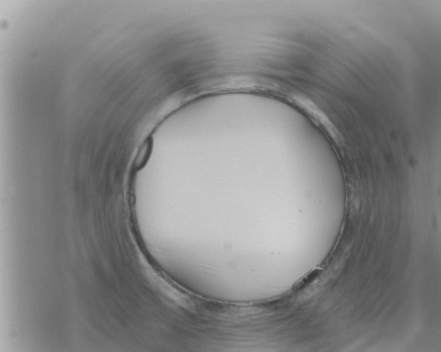 X0000073921475200609082225