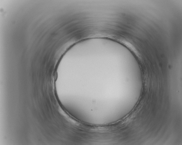 X0000073921476200609082225