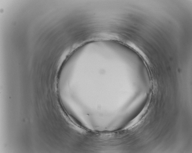 X0000073921477200609082225