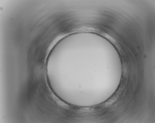 X0000073921478200609082225