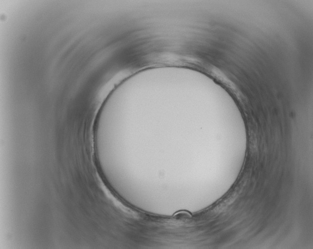 X0000073921479200609082225