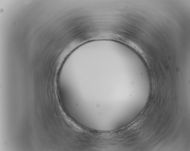 X0000073921480200609082225