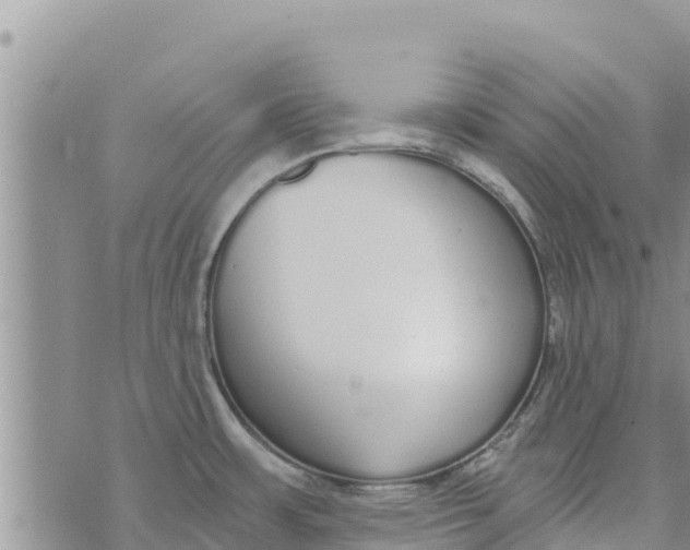 X0000073921483200609082225