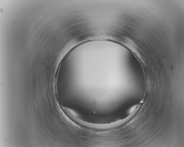 X0000073921484200609082225