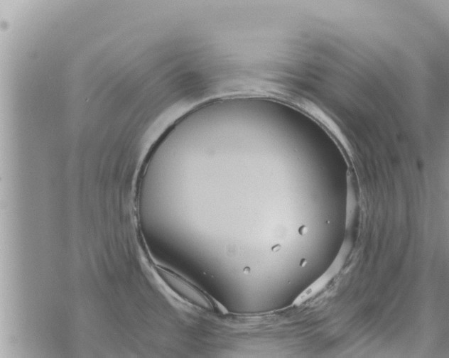 X0000073921485200609082225