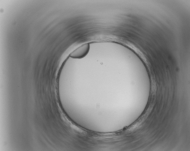 X0000073921486200609082225