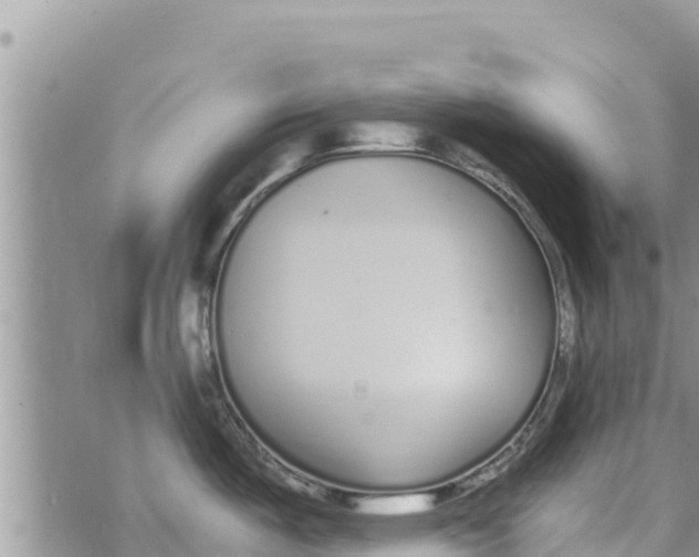 X0000073921487200609082225