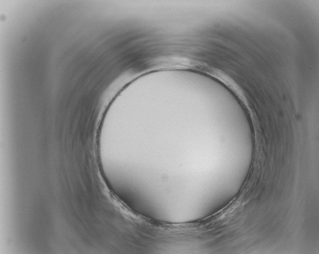 X0000073921488200609082225