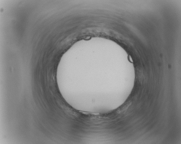 X0000073921489200609082224