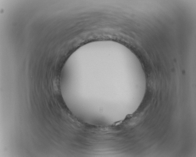 X0000073921490200609082224