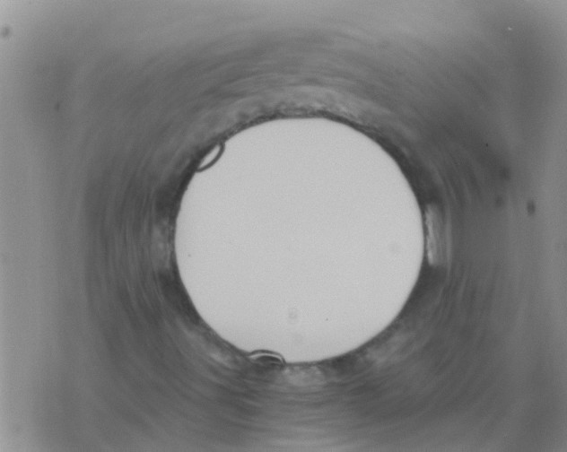 X0000073921491200609082224