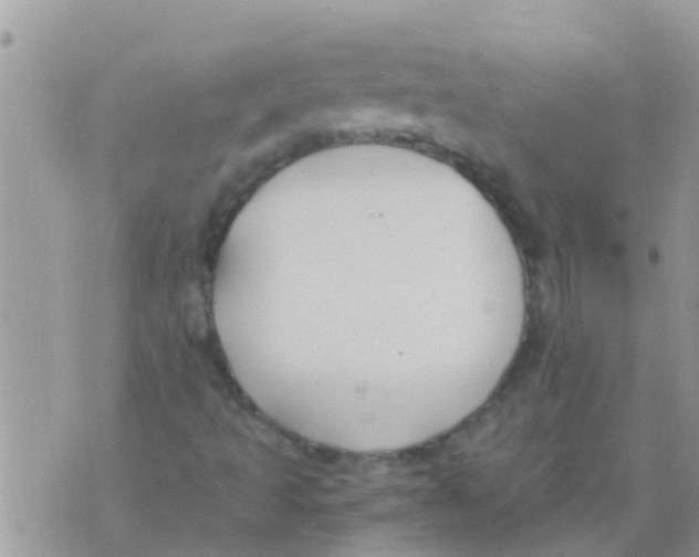 X0000073921493200609082224