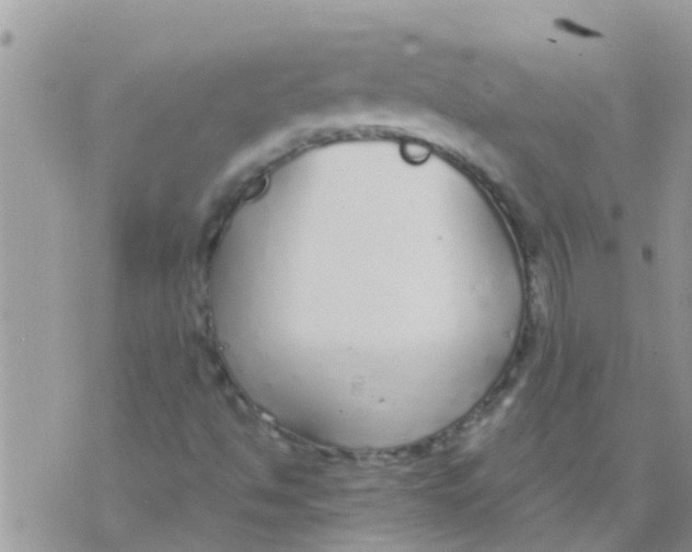 X0000073921494200609082224