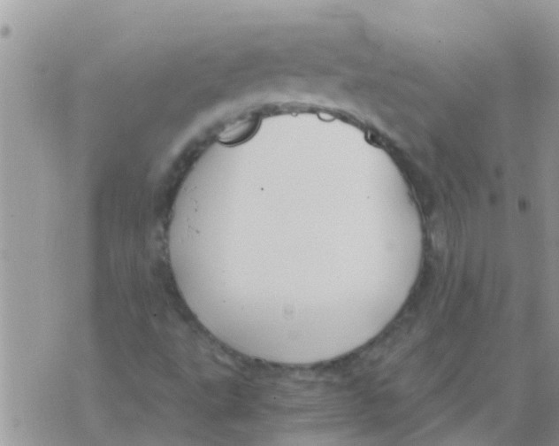 X0000073921495200609082224