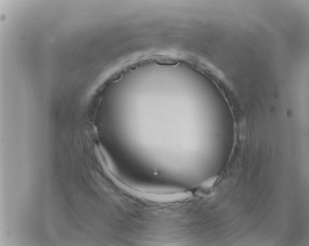 X0000073921496200609082224