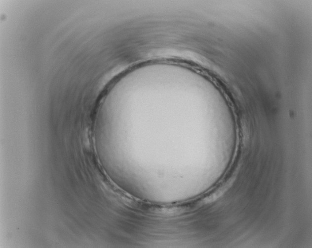 X0000073921497200609082225