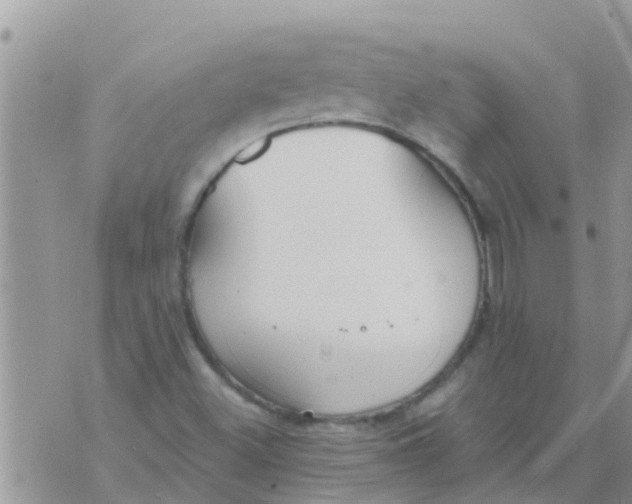 X0000073921500200609082225