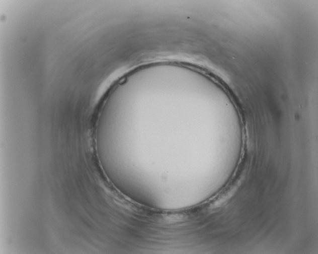 X0000073921501200609082225