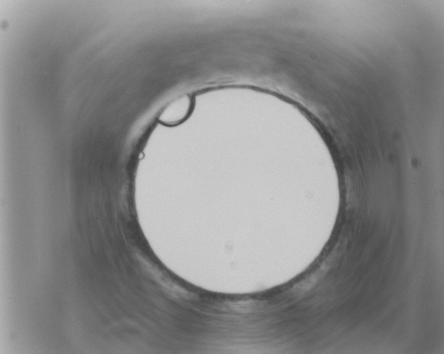 X0000073921502200609082225