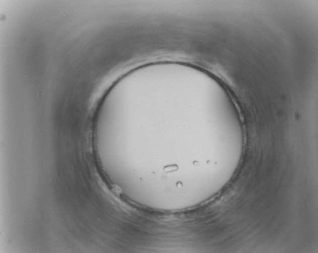 X0000073921504200609082225